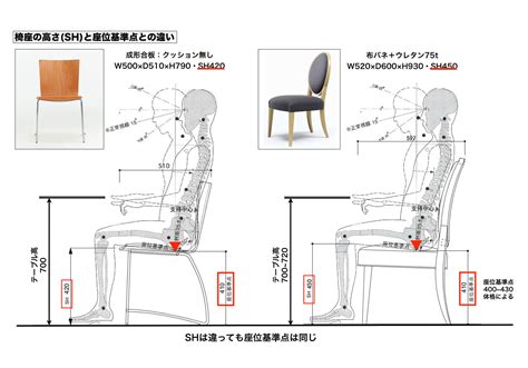 椅子標準尺寸|椅子の幅や高さに標準や最適値はあるか